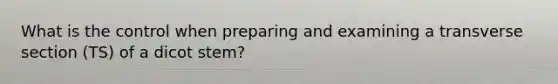 What is the control when preparing and examining a transverse section (TS) of a dicot stem?
