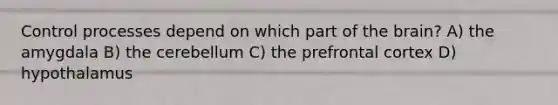 Control processes depend on which part of the brain? A) the amygdala B) the cerebellum C) the prefrontal cortex D) hypothalamus