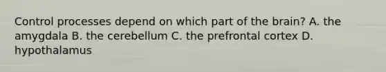 Control processes depend on which part of the brain? A. the amygdala B. the cerebellum C. the prefrontal cortex D. hypothalamus