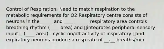 Control of Respiration: Need to match respiration to the metabolic requirements for O2 Respiratory centre consists of neurons in the _____ and ____ ______ respiratory area controls breathing rhythm (____ area) and integrates peripheral sensory input  (____ area) - cyclic on/off activity of inspiratory and expiratory neurons produce a resp rate of __-__ breaths/min