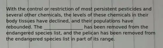 With the control or restriction of most persistent pesticides and several other chemicals, the levels of these chemicals in their body tissues have declined, and their populations have rebounded. The _________________ has been removed from the endangered species list, and the pelican has been removed from the endangered species list in part of its range.