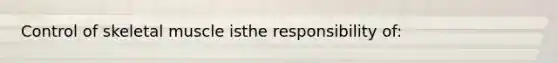 Control of skeletal muscle isthe responsibility of: