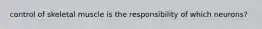 control of skeletal muscle is the responsibility of which neurons?
