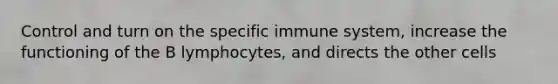 Control and turn on the specific immune system, increase the functioning of the B lymphocytes, and directs the other cells