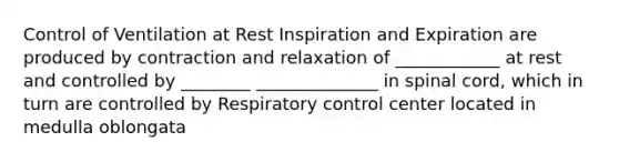 Control of Ventilation at Rest Inspiration and Expiration are produced by contraction and relaxation of ____________ at rest and controlled by ________ ______________ in spinal cord, which in turn are controlled by Respiratory control center located in medulla oblongata