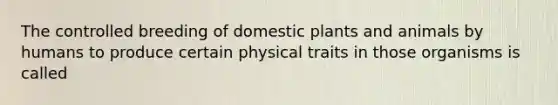 The controlled breeding of domestic plants and animals by humans to produce certain physical traits in those organisms is called