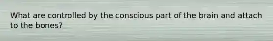 What are controlled by the conscious part of the brain and attach to the bones?