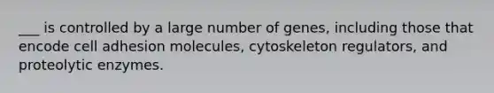 ___ is controlled by a large number of genes, including those that encode cell adhesion molecules, cytoskeleton regulators, and proteolytic enzymes.