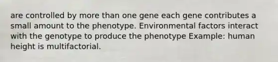 are controlled by more than one gene each gene contributes a small amount to the phenotype. Environmental factors interact with the genotype to produce the phenotype Example: human height is multifactorial.