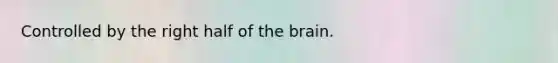 Controlled by the right half of the brain.