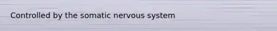 Controlled by the somatic nervous system