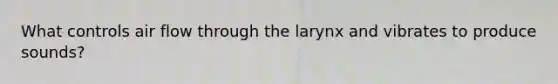 What controls air flow through the larynx and vibrates to produce sounds?