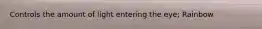 Controls the amount of light entering the eye; Rainbow