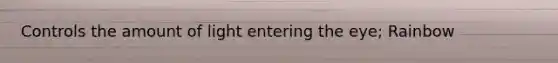 Controls the amount of light entering the eye; Rainbow