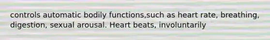 controls automatic bodily functions,such as heart rate, breathing, digestion, sexual arousal. Heart beats, involuntarily