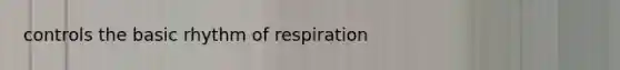 controls the basic rhythm of respiration