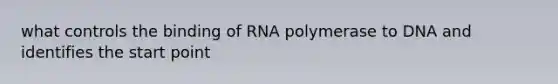 what controls the binding of RNA polymerase to DNA and identifies the start point