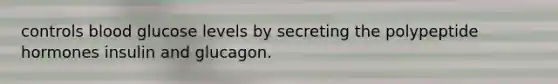 controls blood glucose levels by secreting the polypeptide hormones insulin and glucagon.