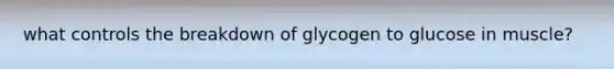 what controls the breakdown of glycogen to glucose in muscle?