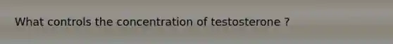 What controls the concentration of testosterone ?