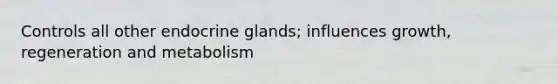 Controls all other endocrine glands; influences growth, regeneration and metabolism