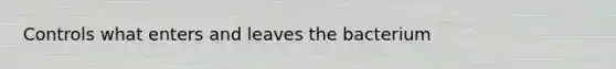 Controls what enters and leaves the bacterium