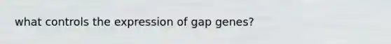 what controls the expression of gap genes?