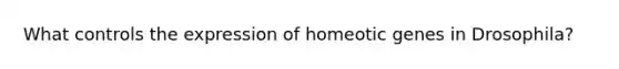 What controls the expression of homeotic genes in Drosophila?