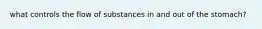 what controls the flow of substances in and out of the stomach?