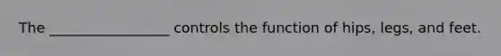 The _________________ controls the function of hips, legs, and feet.