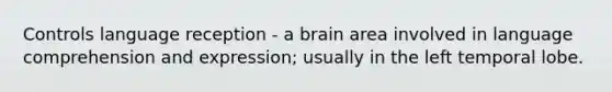 Controls language reception - a brain area involved in language comprehension and expression; usually in the left temporal lobe.