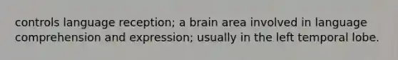 controls language reception; a brain area involved in language comprehension and expression; usually in the left temporal lobe.