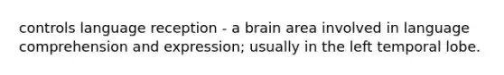 controls language reception - a brain area involved in language comprehension and expression; usually in the left temporal lobe.