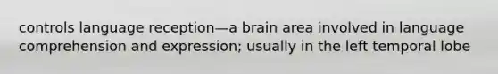 controls language reception—a brain area involved in language comprehension and expression; usually in the left temporal lobe