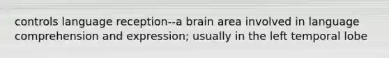 controls language reception--a brain area involved in language comprehension and expression; usually in the left temporal lobe