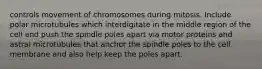 controls movement of chromosomes during mitosis. Include polar microtubules which interdigitate in the middle region of the cell and push the spindle poles apart via motor proteins and astral microtubules that anchor the spindle poles to the cell membrane and also help keep the poles apart.