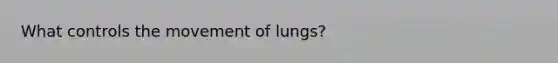 What controls the movement of lungs?