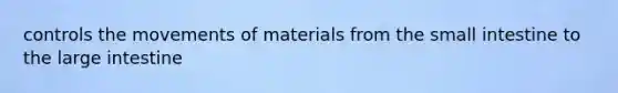 controls the movements of materials from the small intestine to the large intestine