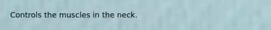 Controls the muscles in the neck.