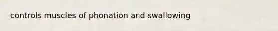 controls muscles of phonation and swallowing