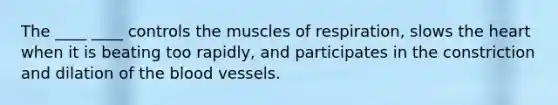 The ____ ____ controls the muscles of respiration, slows the heart when it is beating too rapidly, and participates in the constriction and dilation of the blood vessels.