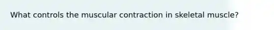 What controls the muscular contraction in skeletal muscle?