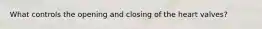 What controls the opening and closing of the heart valves?