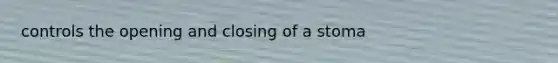 controls the opening and closing of a stoma