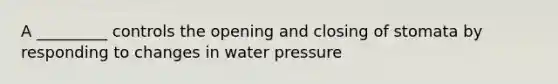 A _________ controls the opening and closing of stomata by responding to changes in water pressure