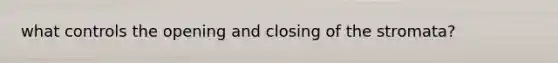 what controls the opening and closing of the stromata?