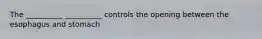 The __________ __________ controls the opening between the esophagus and stomach