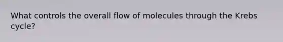 What controls the overall flow of molecules through the Krebs cycle?