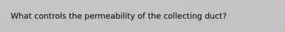 What controls the permeability of the collecting duct?