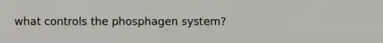 what controls the phosphagen system?